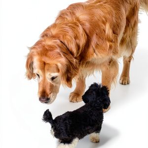 Veterinary Medicine Guide for Small Animal Care by Moises Heiblum MVZ-0