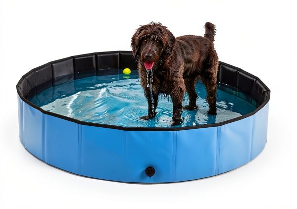 Dog Pool Clothclose Foldable Xlarge Blue PVC Bath for Dogs Cats Kids-1