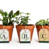 Small Letter Stencil for Cakes Cookies Reusable Alphabet Stencil 27-3